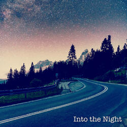 Into the Night