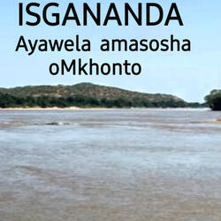 Ayawela Amasosha oMkhonto