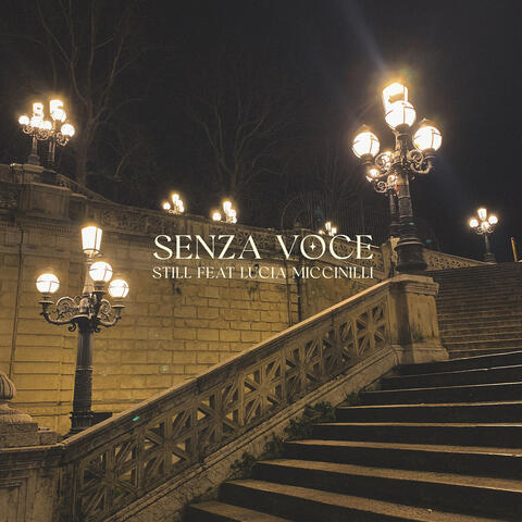 senza voce