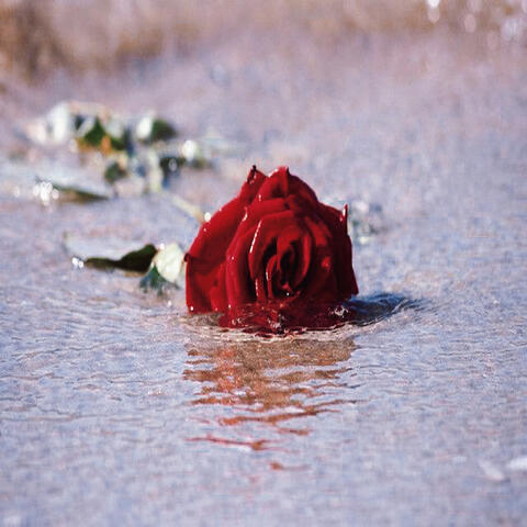 Drowning