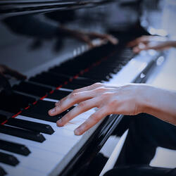 Theme 5