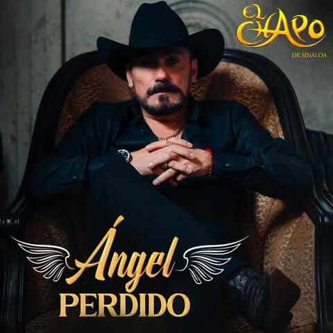 Angel Perdido