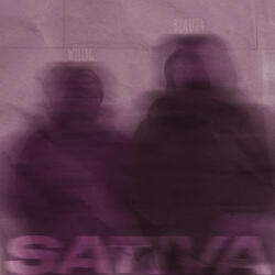 Sativa