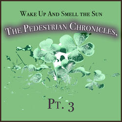 Chapter 9 Saint Patrick Days