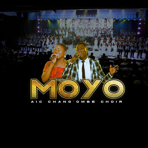 Moyo (Live)