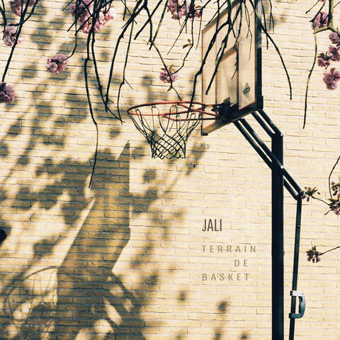 Terrain de Basket
