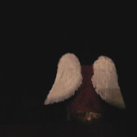 Wax Wings