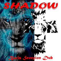 Shadow