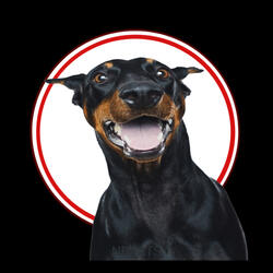 Sound to Call Dogs