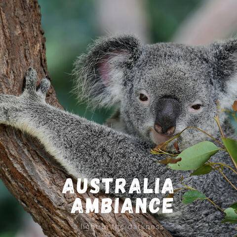 Australia Ambiance
