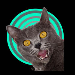 Cat Whistle