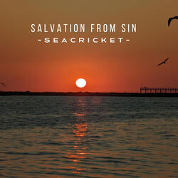 Salvation from Sin