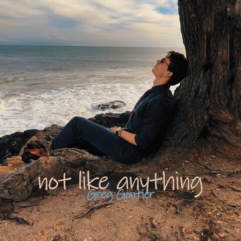 Not Like Anything