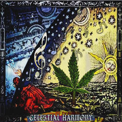 Higher "so Blowed"
