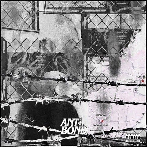 Ant Bond