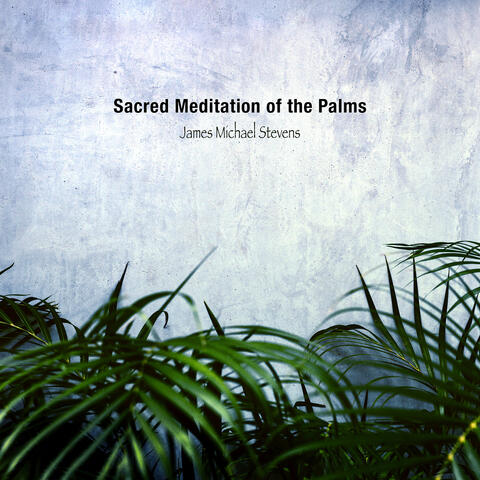 Sacred Meditation of the Palms