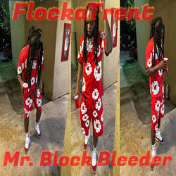 Mr. Block Bleeder