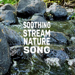 Soothing Stream Nature Song