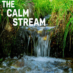 The Calm Stream