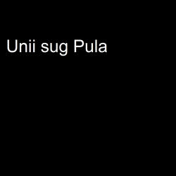 Unii Sug Pula