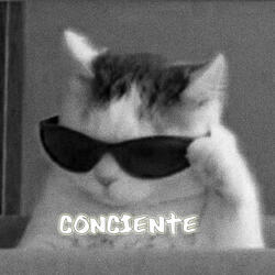 Conciente