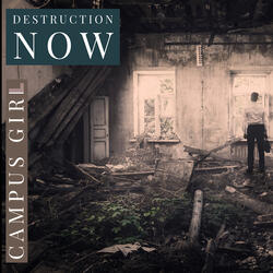 Destruction Now (Extended Version)