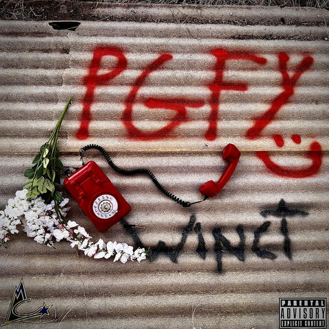 Pgfy