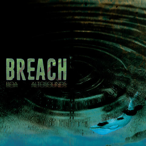 Breach