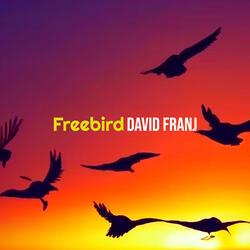 Freebird