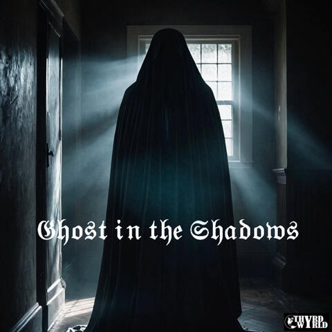 Ghost in the Shadows