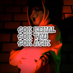 Sok Kenal Sok Tau Sok Asik