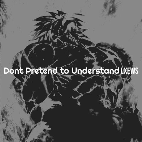 Dont Pretend to Understand