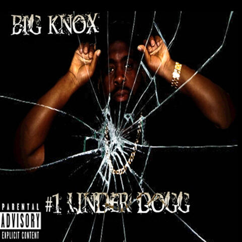 # 1 Under Dogg