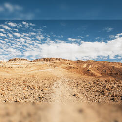 Desolate Passover but Not Forgotten