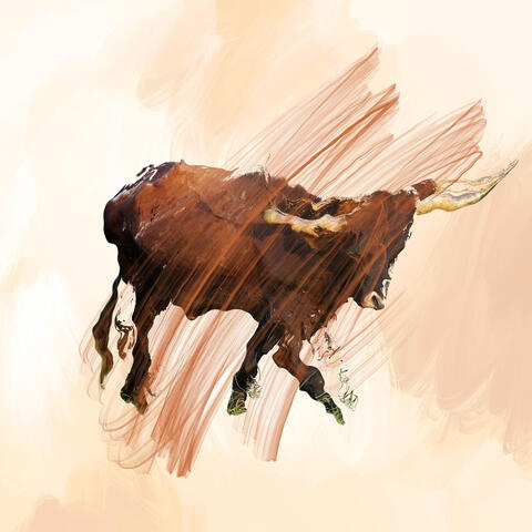 Not With Blood of Bulls