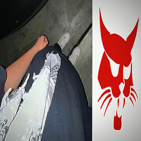 Undercover Tags