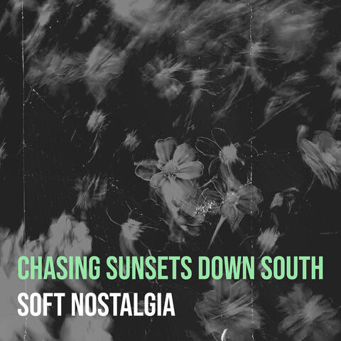 Chasing Sunsets Down South