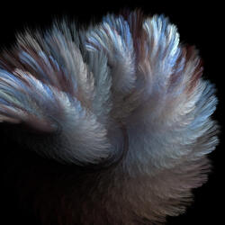 Supernova