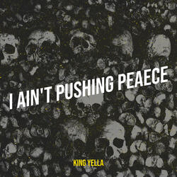 I Ain't Pushing Peaece