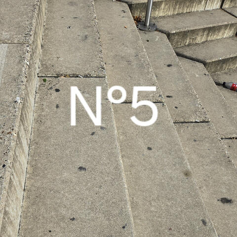 N°5