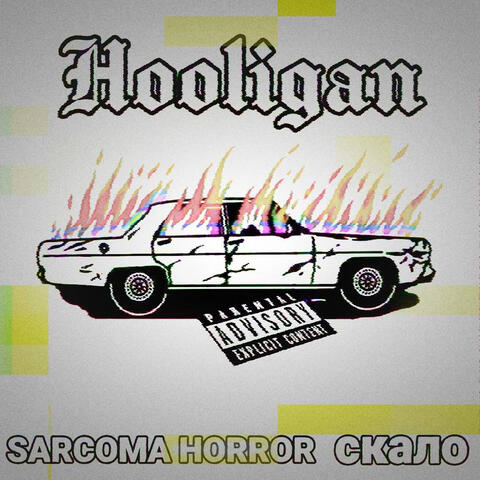 Hooligan