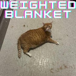 Weighted Blanket