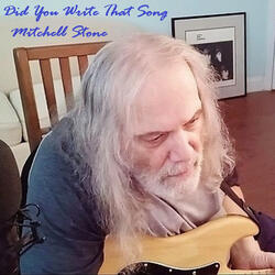Did You Write That Song