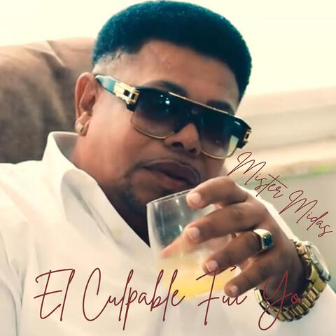 El Culpable Fui Yo