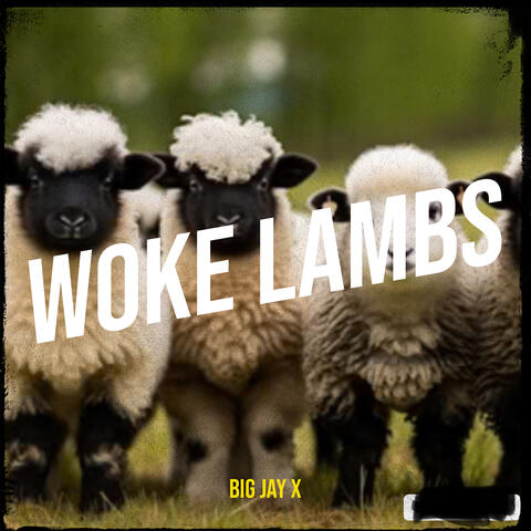 Woke Lambs