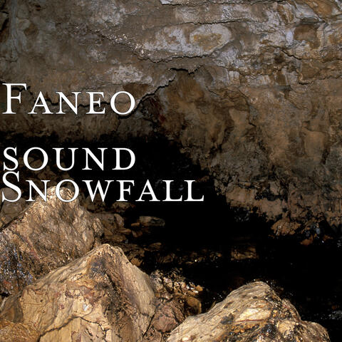 Snowfall