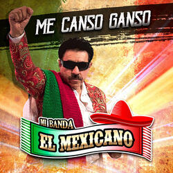Me Canso Ganso