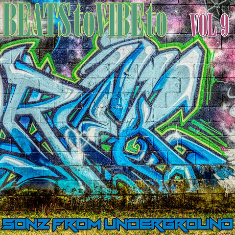 Beats to Vibe to, Vol. 9