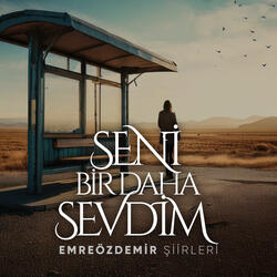 Seni Bir Daha Sevdim