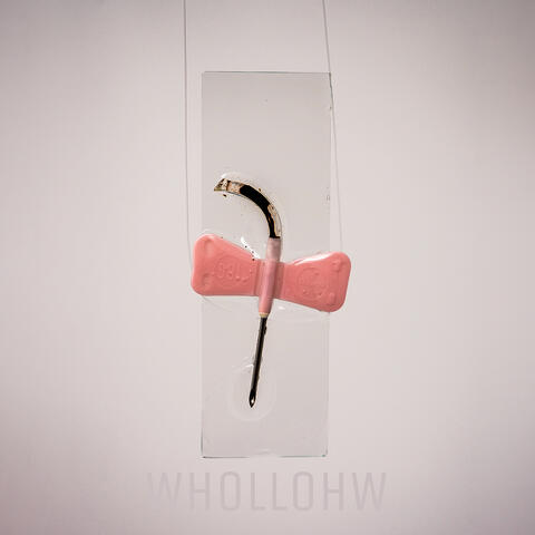 WHOLLOHW